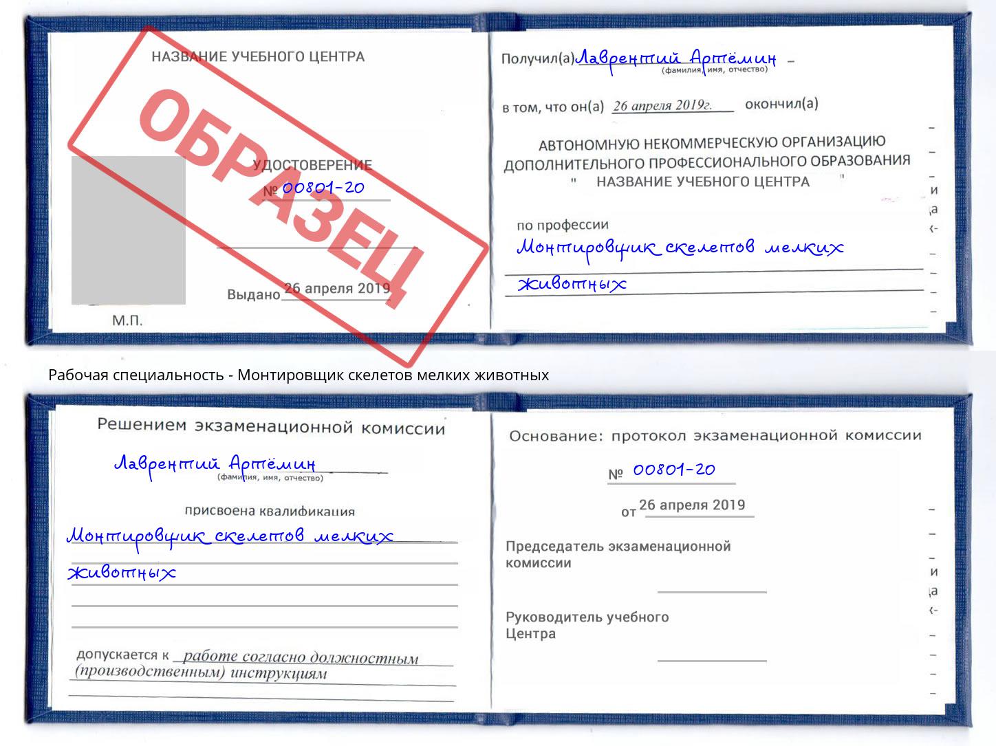 Монтировщик скелетов мелких животных Октябрьский