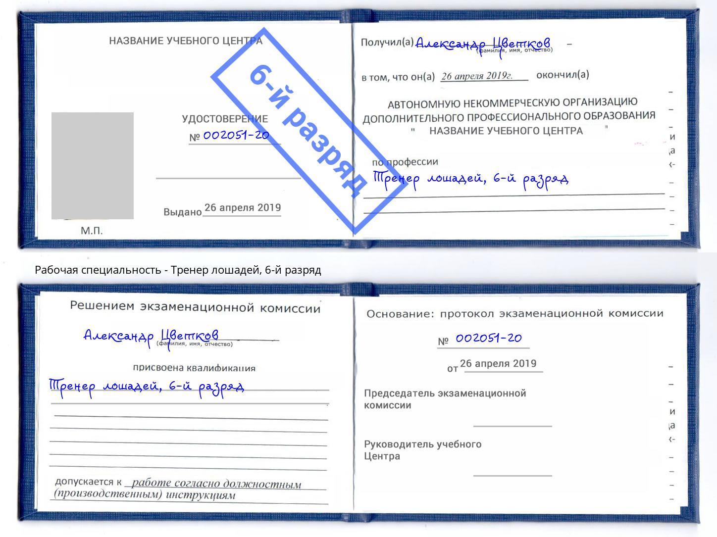 корочка 6-й разряд Тренер лошадей Октябрьский