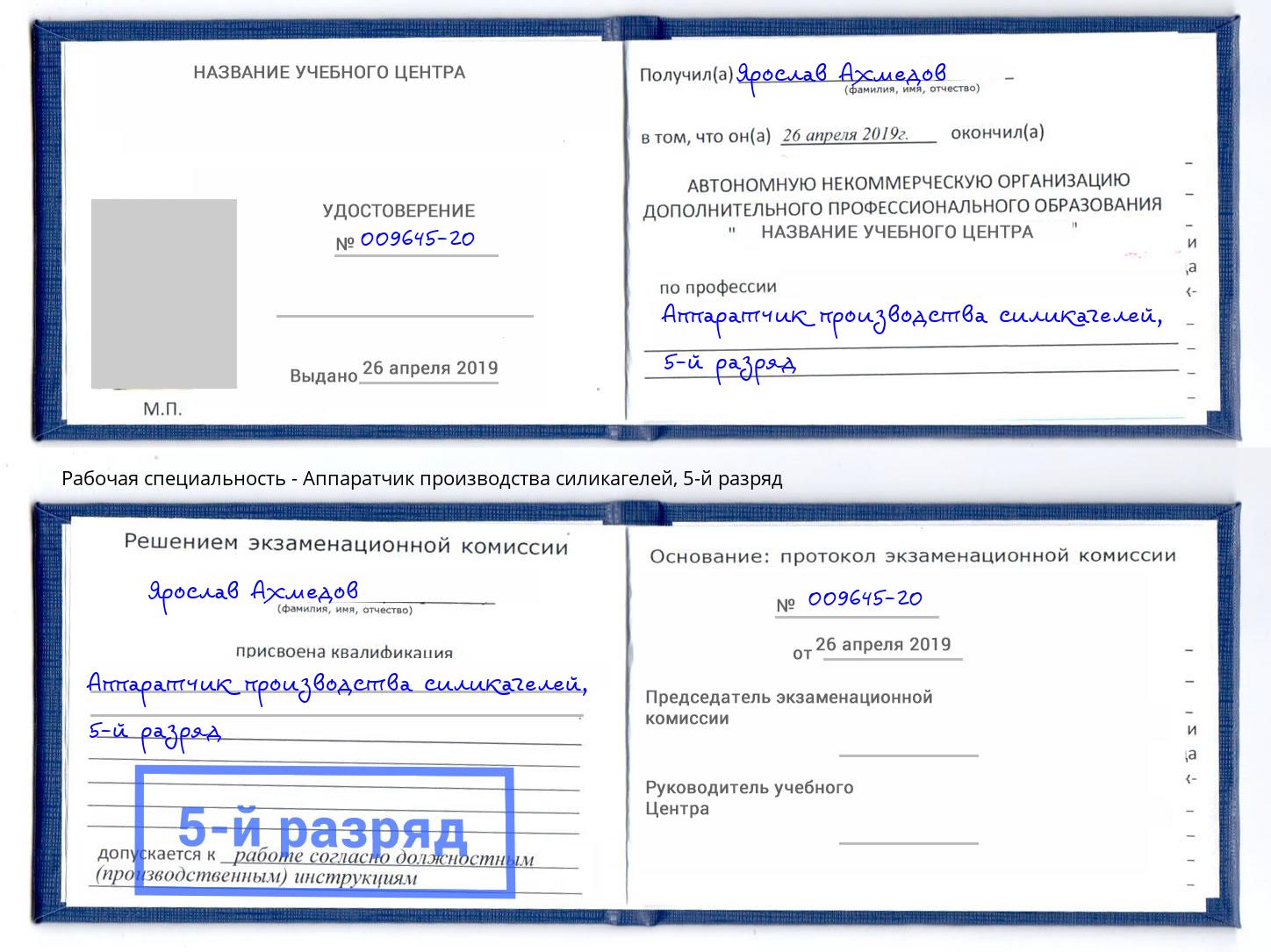 корочка 5-й разряд Аппаратчик производства силикагелей Октябрьский
