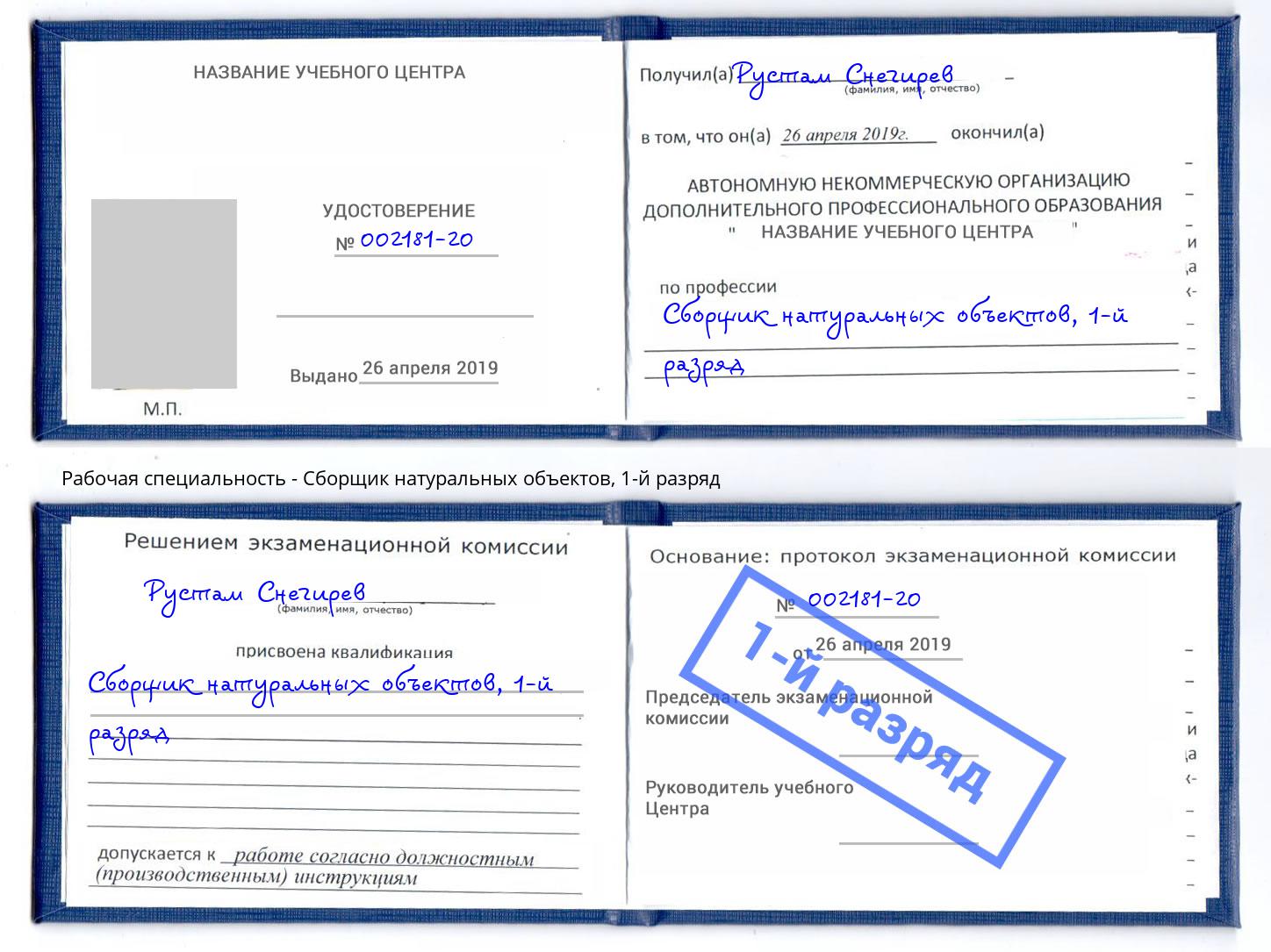 корочка 1-й разряд Сборщик натуральных объектов Октябрьский